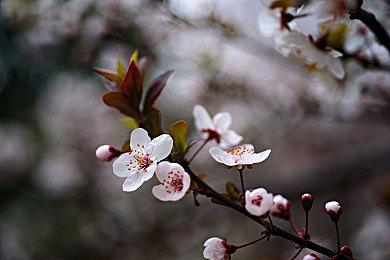 官宣：《冲就完事模拟器》玩家数量已超700万人